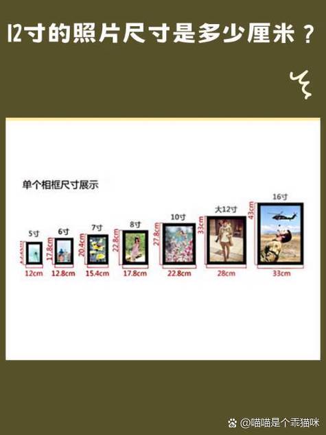 8寸12寸16寸照片尺寸缩略图