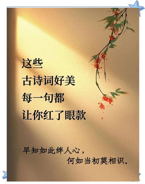 表达爱意的四字诗句游戏截图