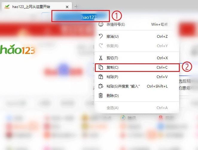 浏览器可以拉黑一个网址吗缩略图