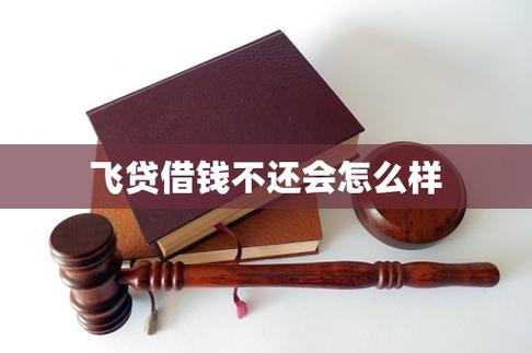 飞贷好通过吗缩略图
