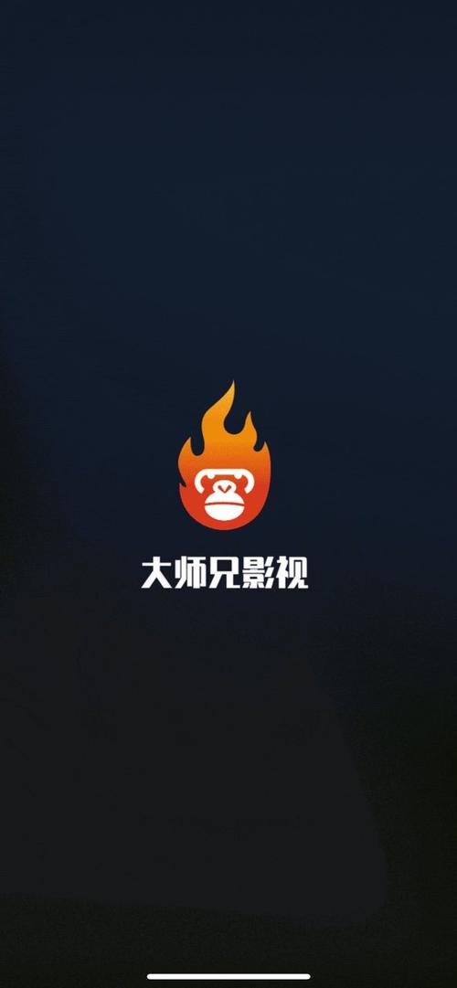 大师兄影视大全免费观看电视剧缩略图
