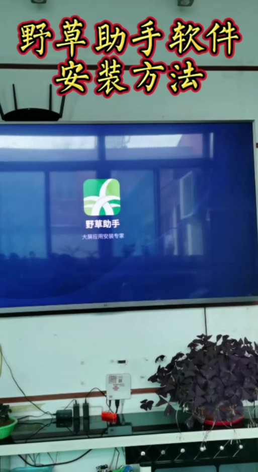 小米电视安装野草助手缩略图
