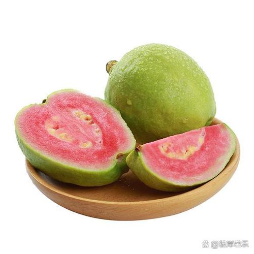 十大降糖水果排名游戏截图