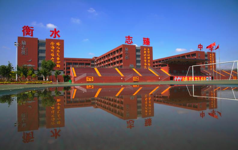 衡水志臻高中部招生游戏截图