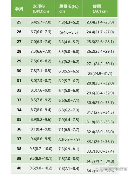 胎儿体重估计方法图标