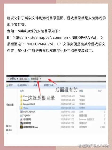 汉化补丁怎么安装游戏截图