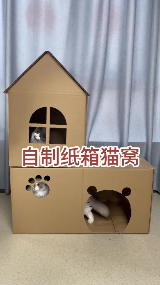 纸箱自制猫窝游戏截图