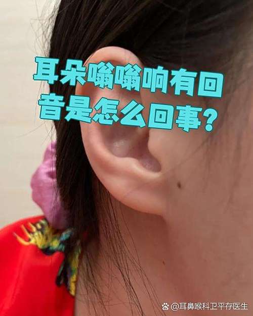 耳朵嗡嗡响有回音图标