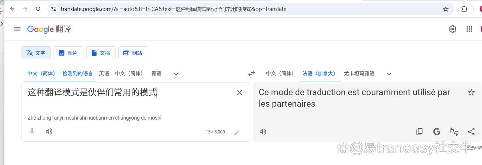 tiktok 翻译缩略图