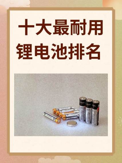十大最耐用锂电池排名缩略图