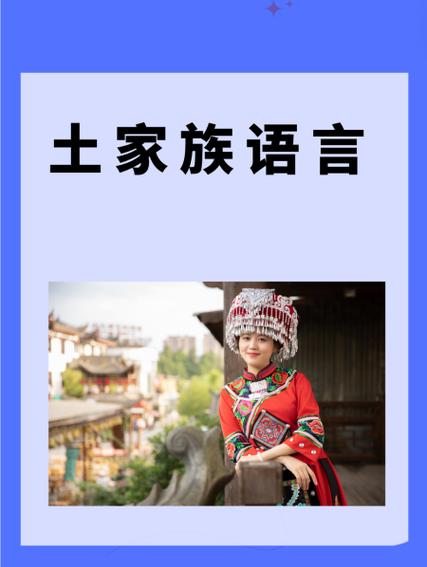 民族语言翻译软件缩略图