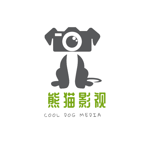 熊猫电视图标