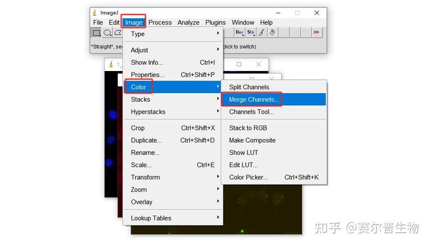 imagej视频教程缩略图