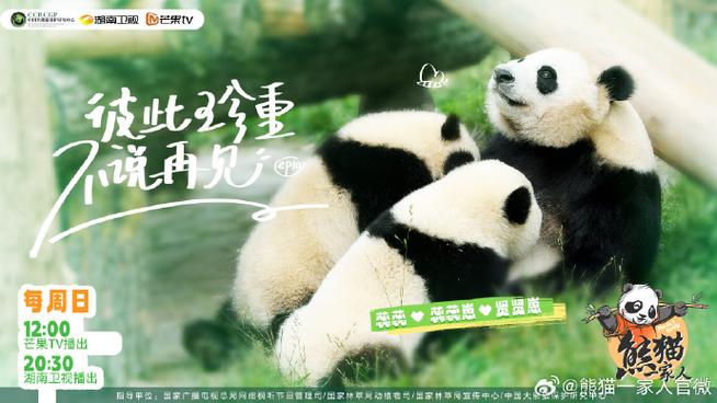 拯救大熊猫游戏攻略游戏截图