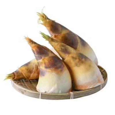 竹笋商城app是真是假缩略图