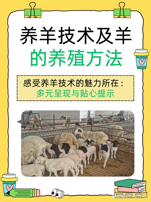 全民养羊模式缩略图