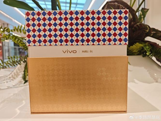 vivo手机挂件怎么弄出来游戏截图