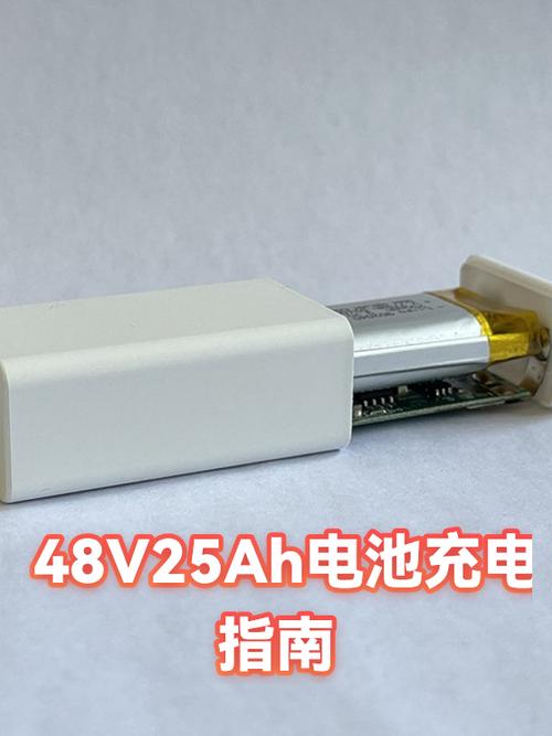 48v25ah锂电池用多大充电器缩略图