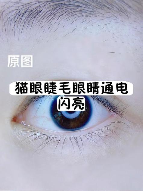 猫儿眼睛流脓怎么办缩略图