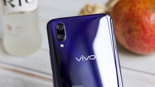 vivox23后置摄像头像素游戏截图