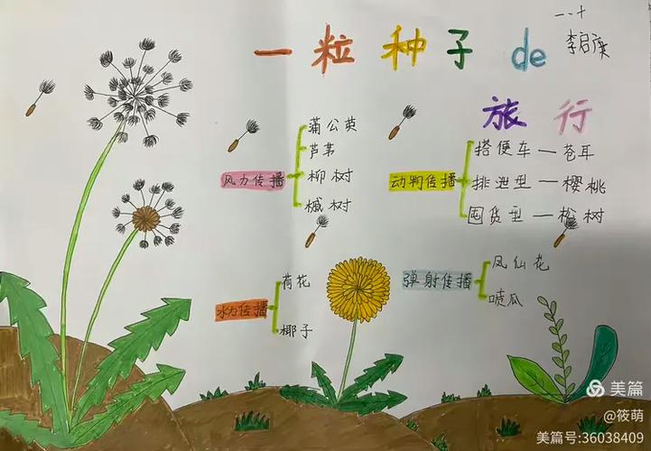 一粒种子阅读答案大全缩略图