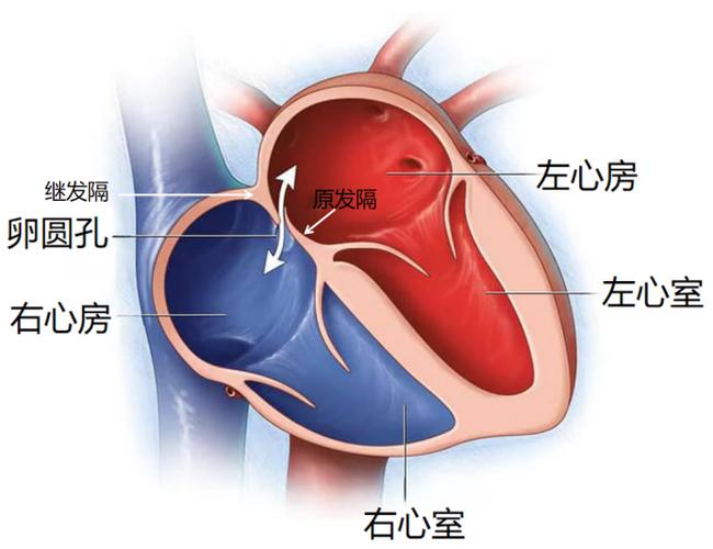 房间隔在哪个位置图片缩略图