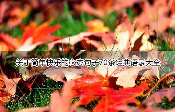 主开心的精辟短句缩略图