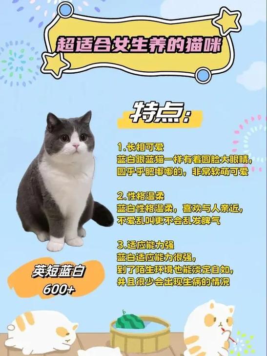 养猫的利润是多少缩略图