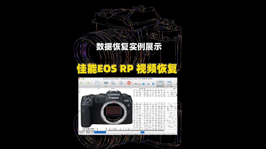 相机里的照片突然没了缩略图