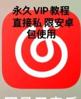 网易云音乐永久黑胶会员怎么获得图标