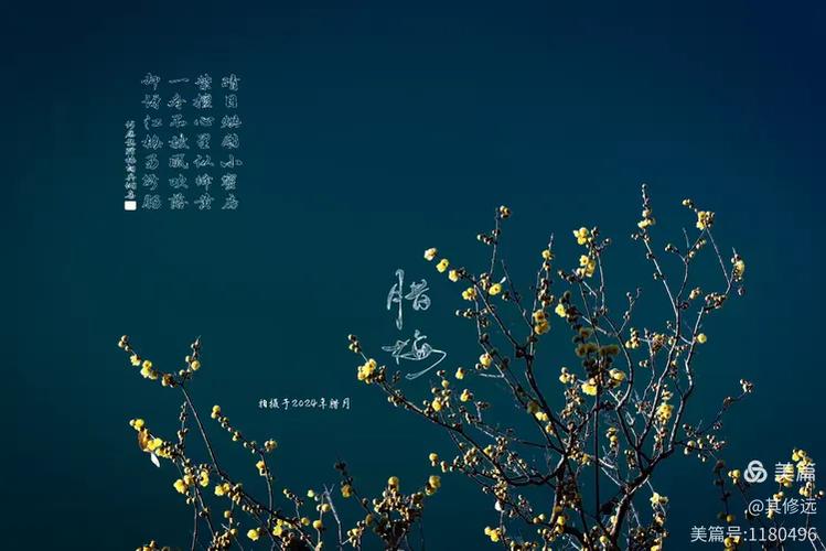 宫斗剧情游戏推荐缩略图