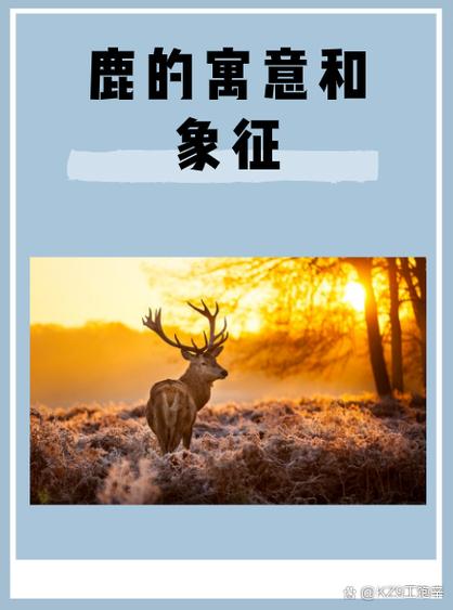 鹿的寓意和象征风水游戏截图