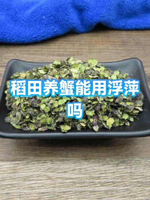 稻田养蟹每亩利润缩略图