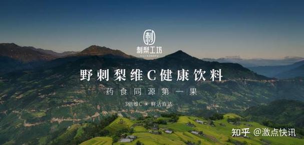 大激梨购票平台官网入口缩略图