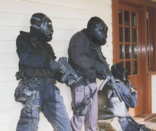 《特种部队》免费观看缩略图