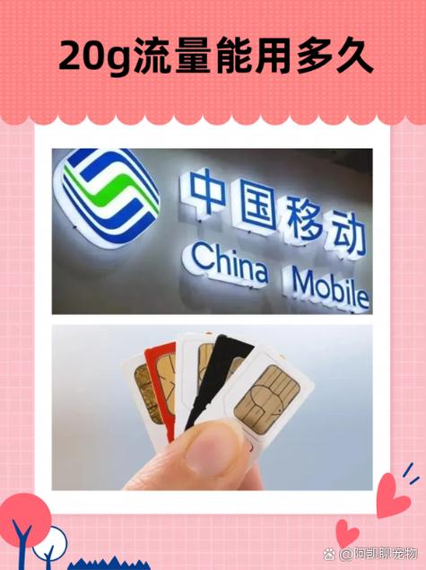 一个月100G流量够用吗缩略图