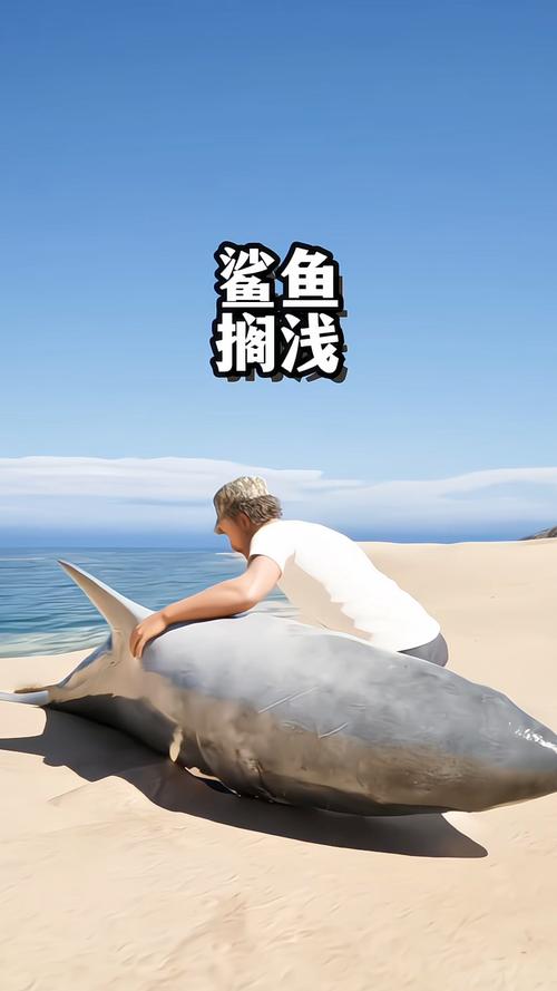 鲨鱼退沙视频缩略图