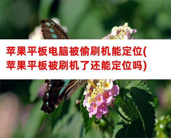 苹果平板刷机后还能被定位吗缩略图
