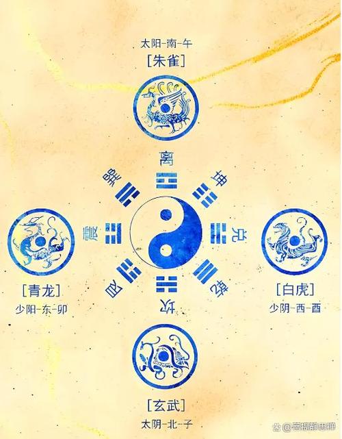 中医的四象指的是什么缩略图