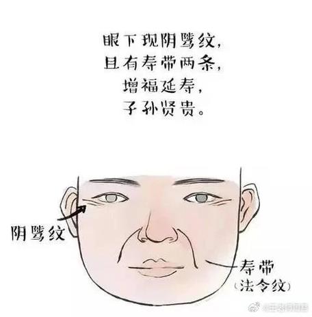 阴纹是什么意思游戏截图