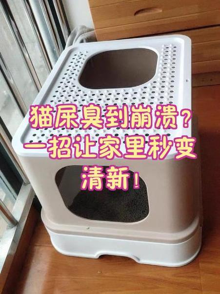 如何去除猫屎臭味游戏截图