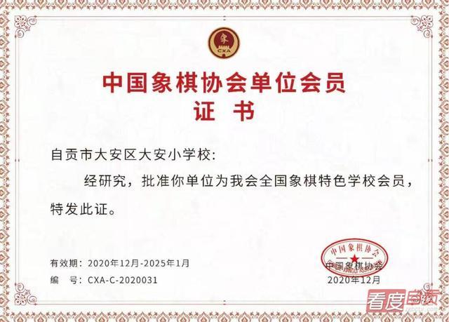 中国象棋协会等级证书查询缩略图