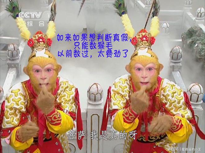辨别真假美猴王缩略图