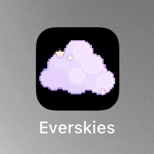 everskies正版缩略图