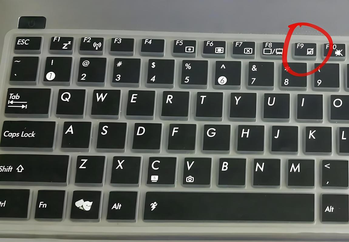 笔记本字母按键没反应游戏截图