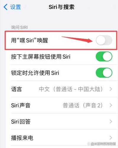 苹果怎么设置siri一喊就出来游戏截图