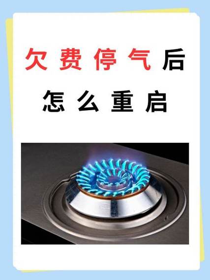 青桔可以欠费多久图标