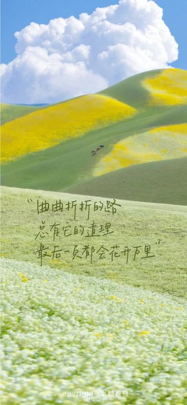 手机壁纸励志文字图片游戏截图