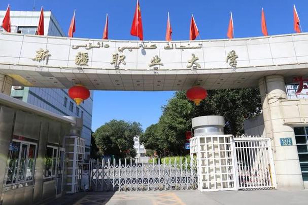 新疆职业大学官网入口游戏截图