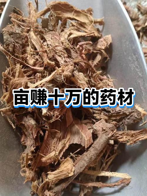 种药材一亩地利润有多少游戏截图
